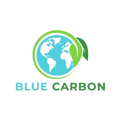 hilqplzy 400x400 transparent